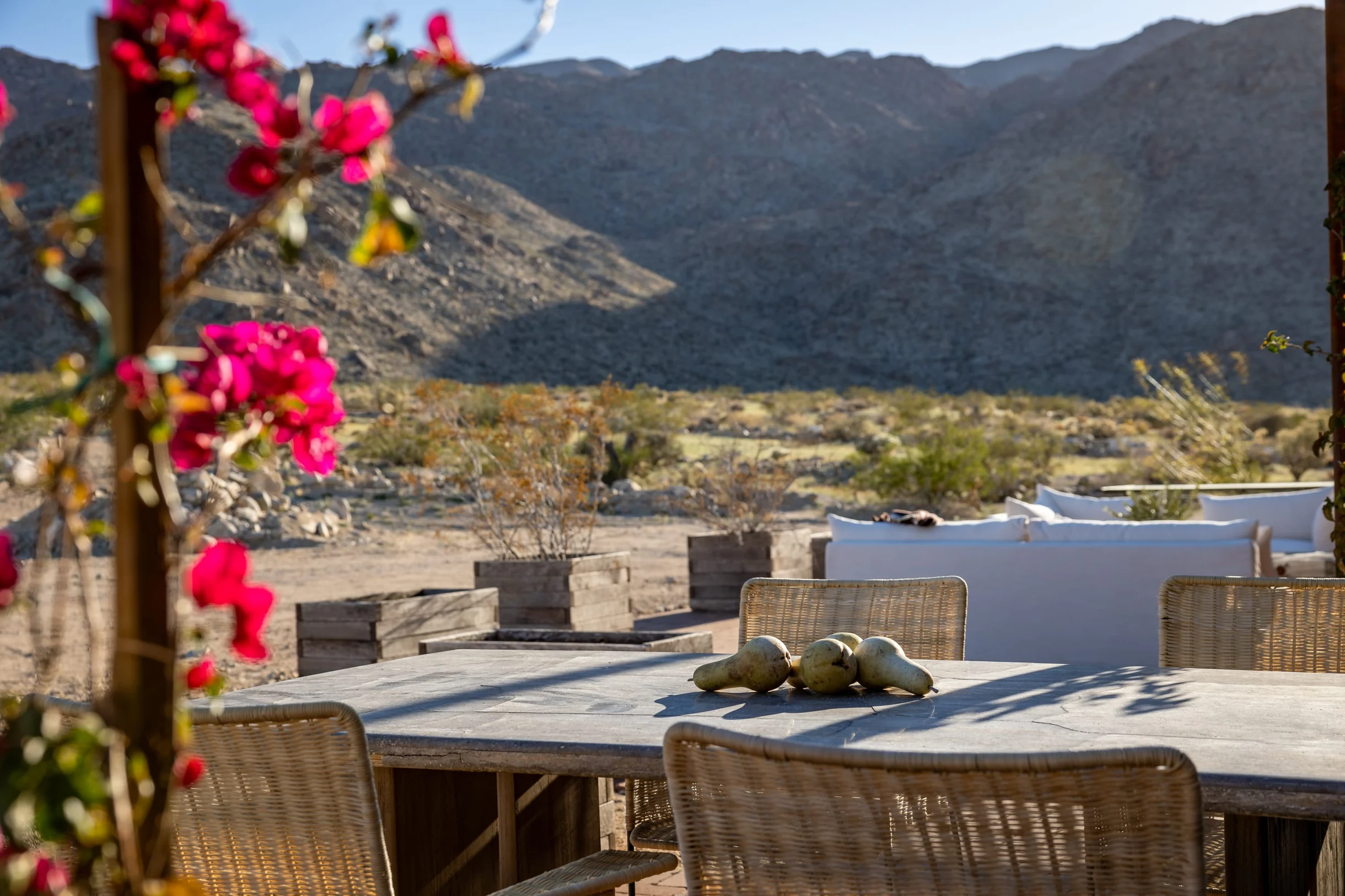 Wander Mojave Desert #97
