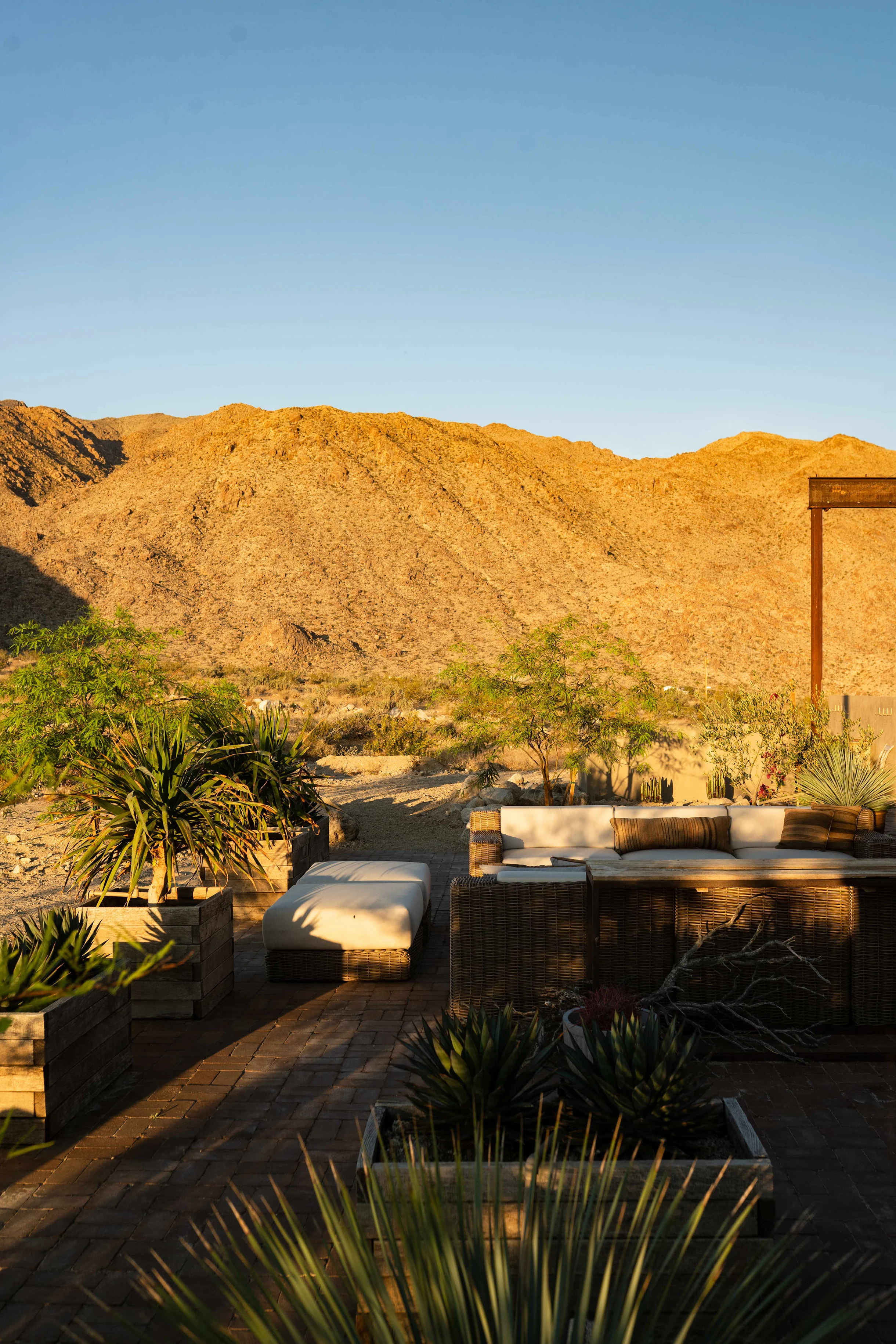 Wander Mojave Desert #118