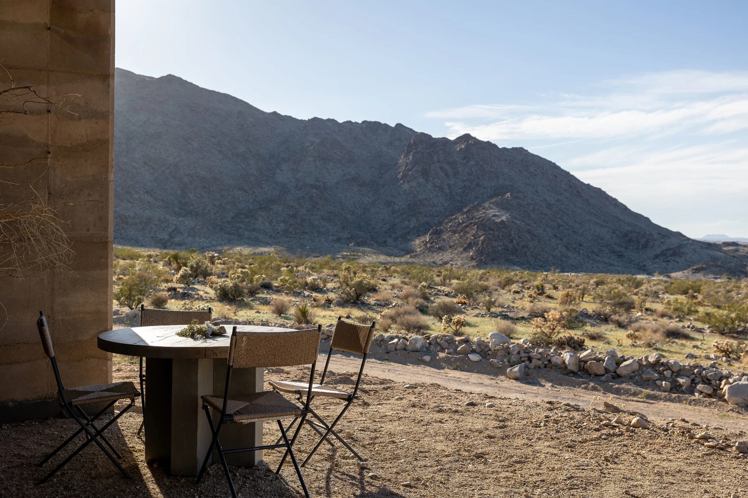Wander Mojave Desert #99