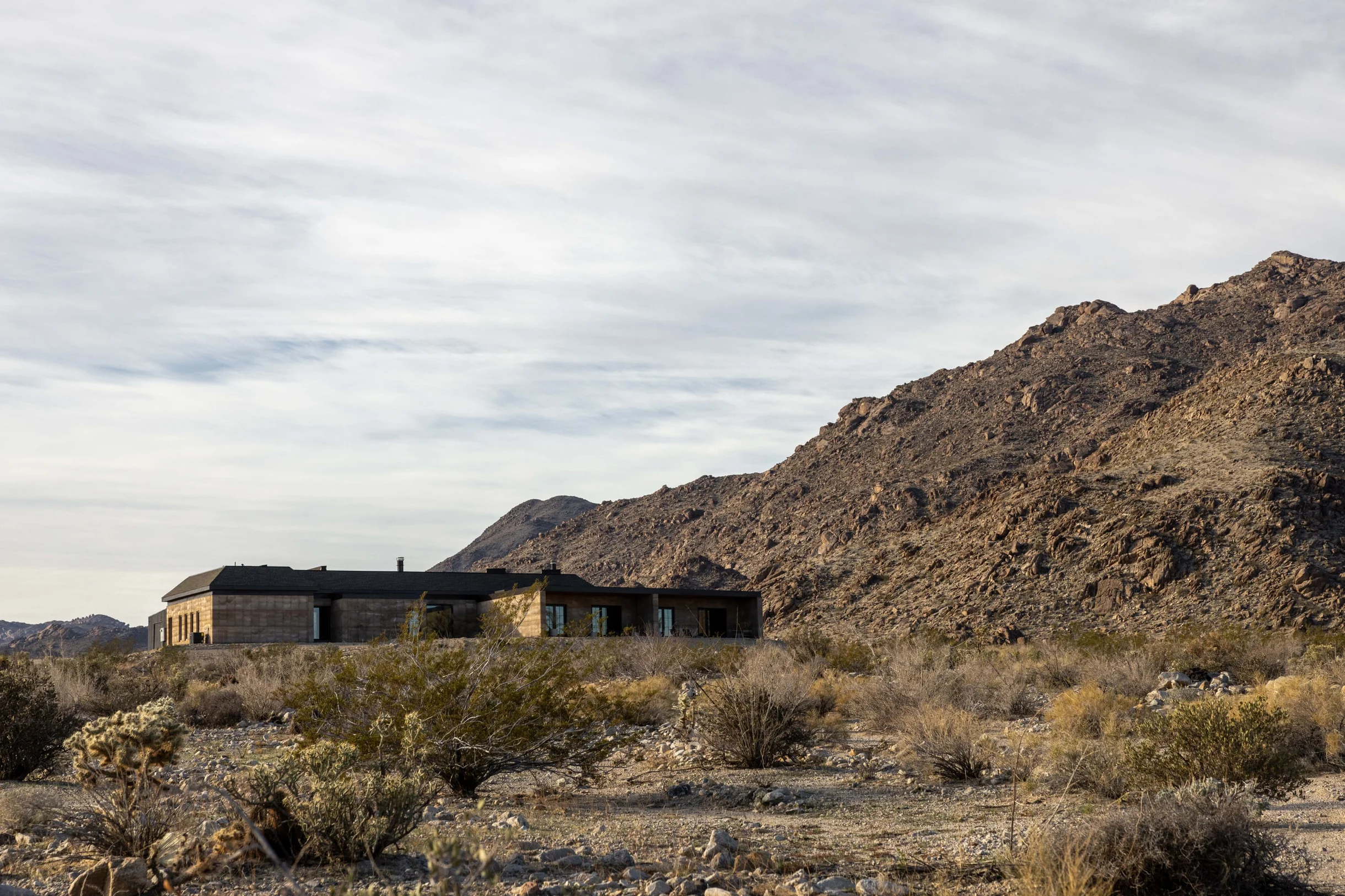 Wander Mojave Desert #190
