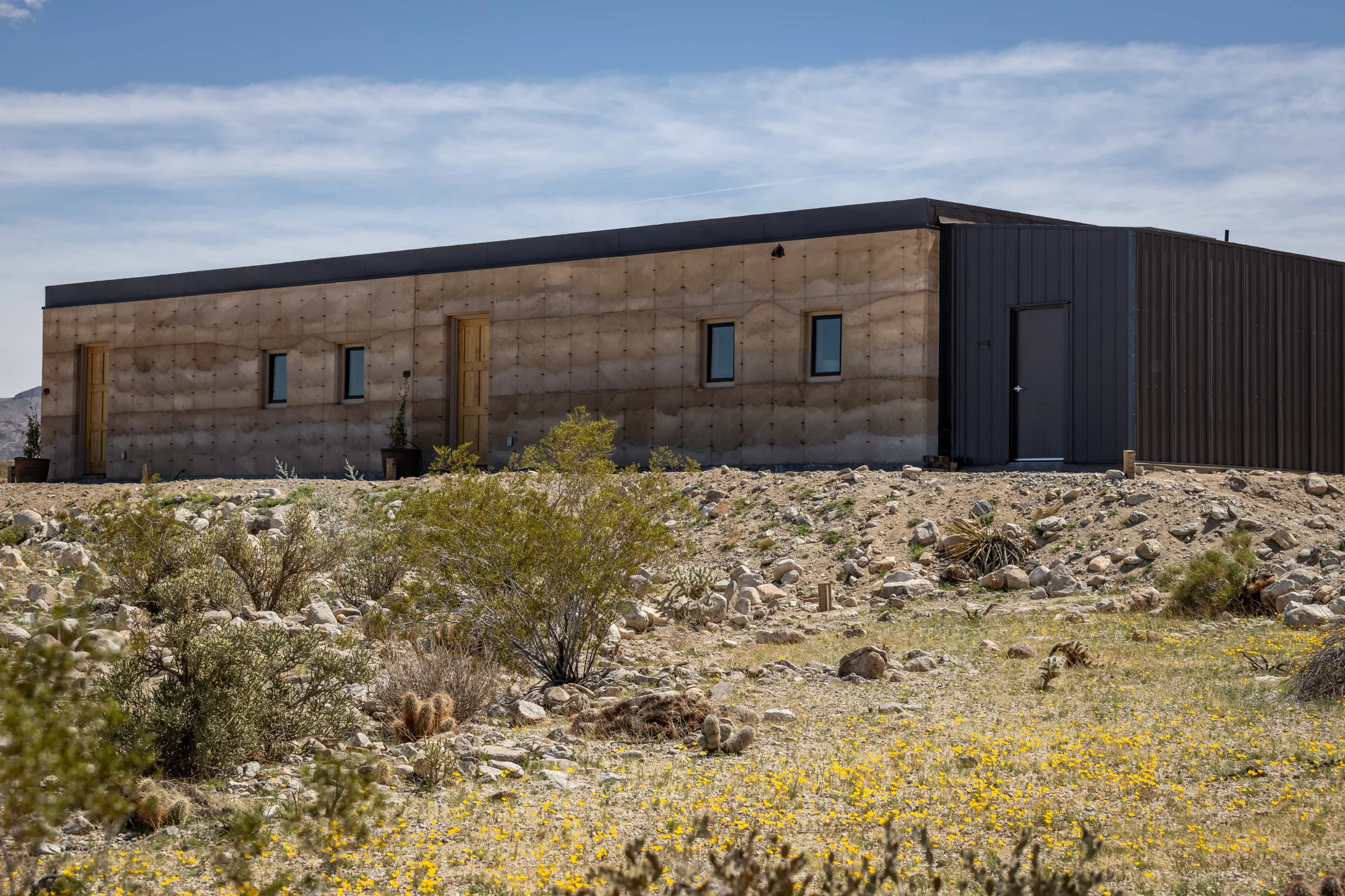 Wander Mojave Desert #139