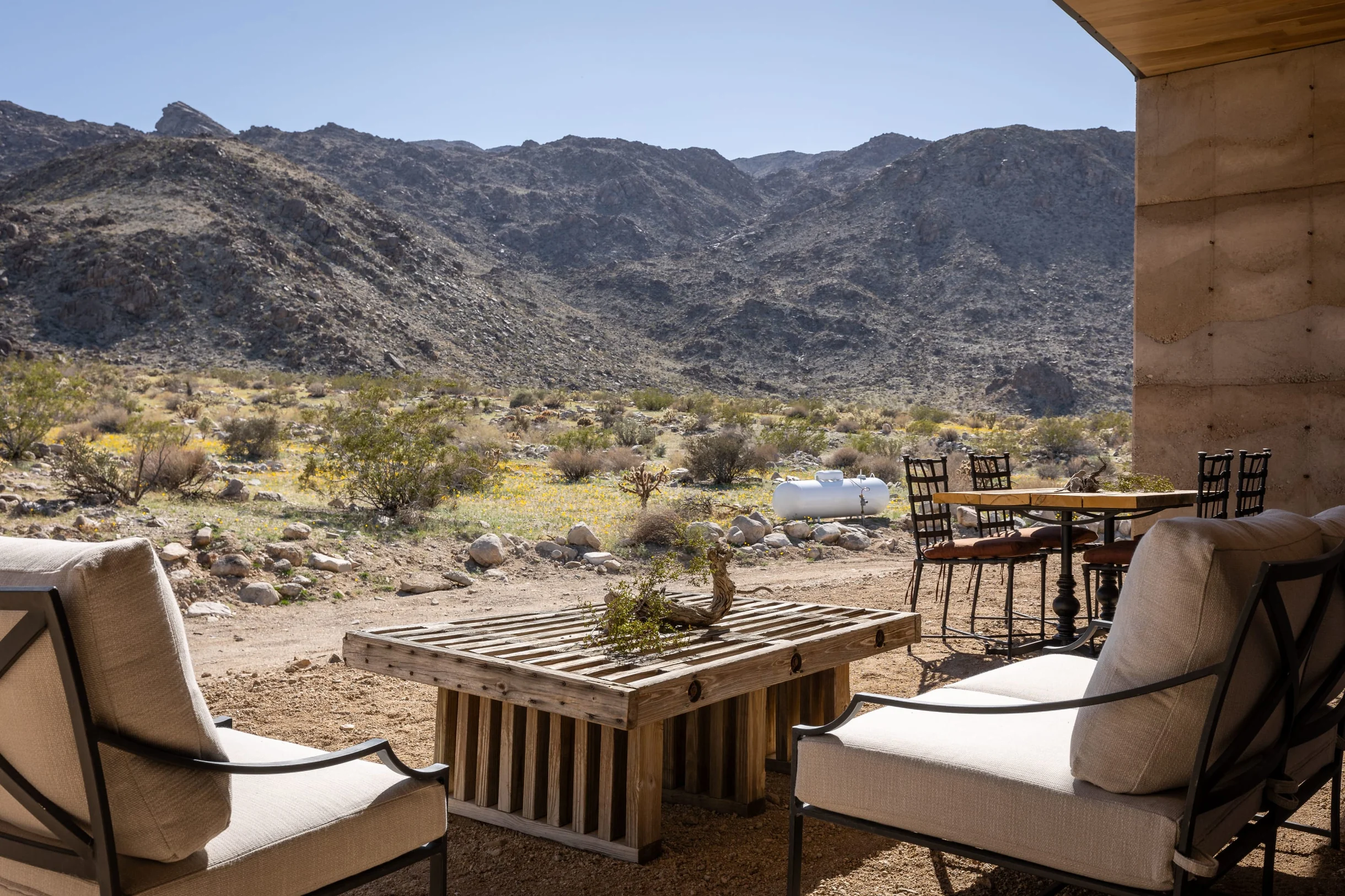 Wander Mojave Desert #137