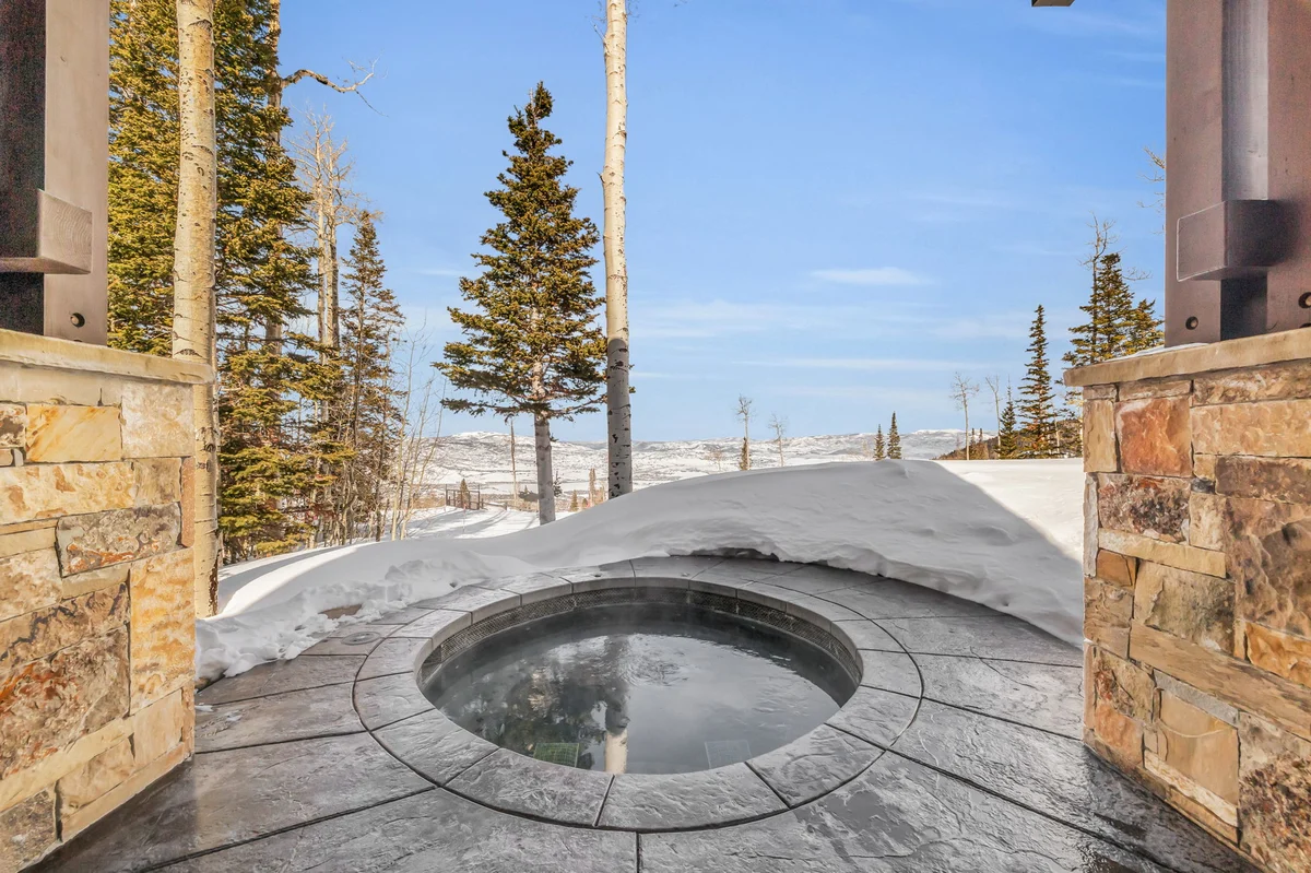 SnowMeadow #90