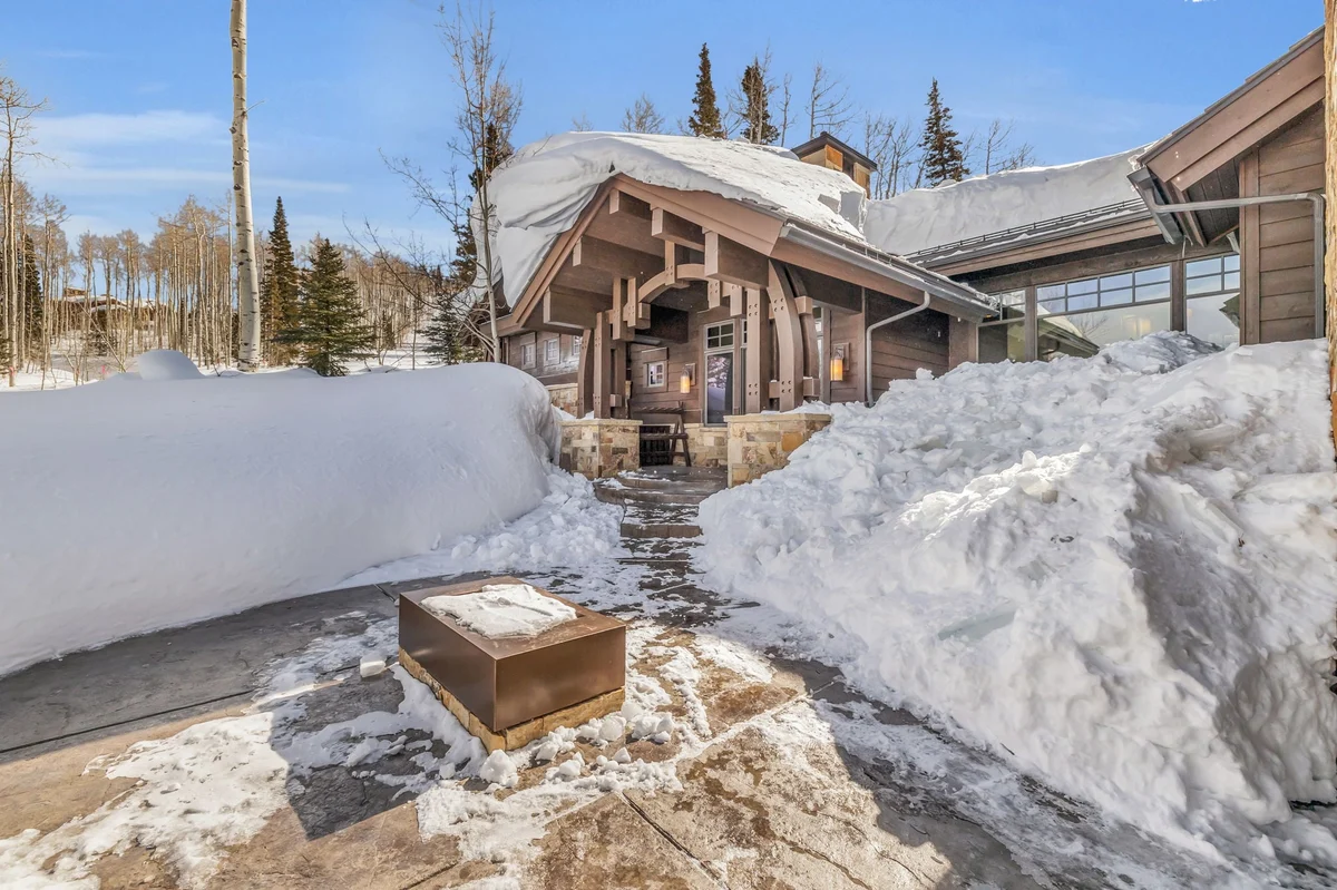 SnowMeadow #106