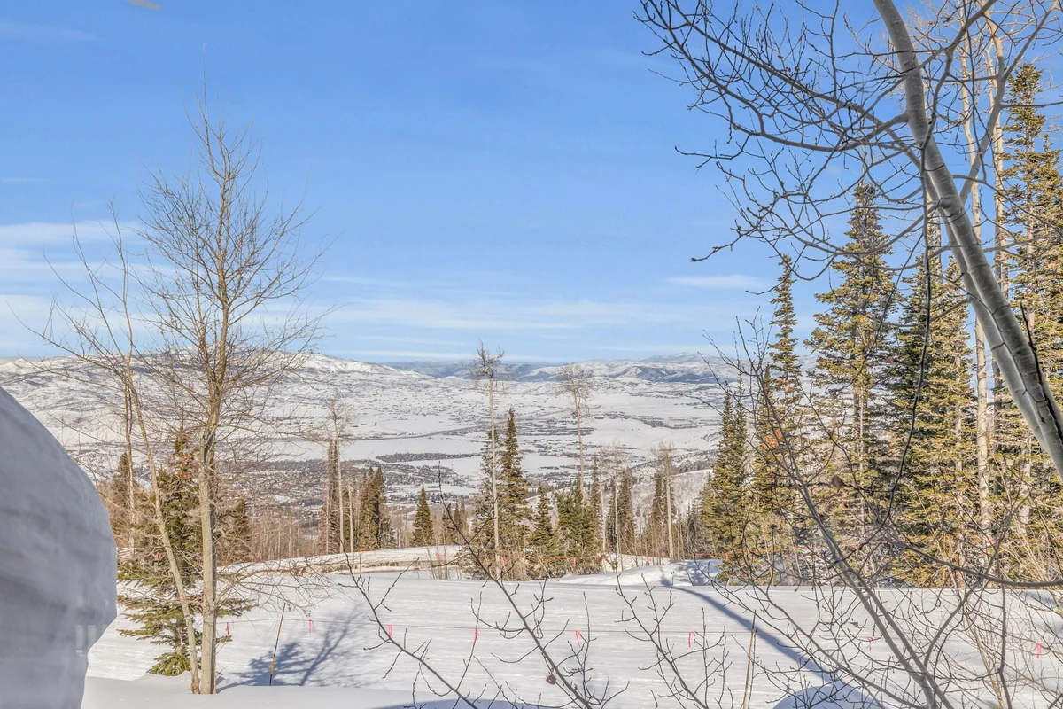 SnowMeadow #109