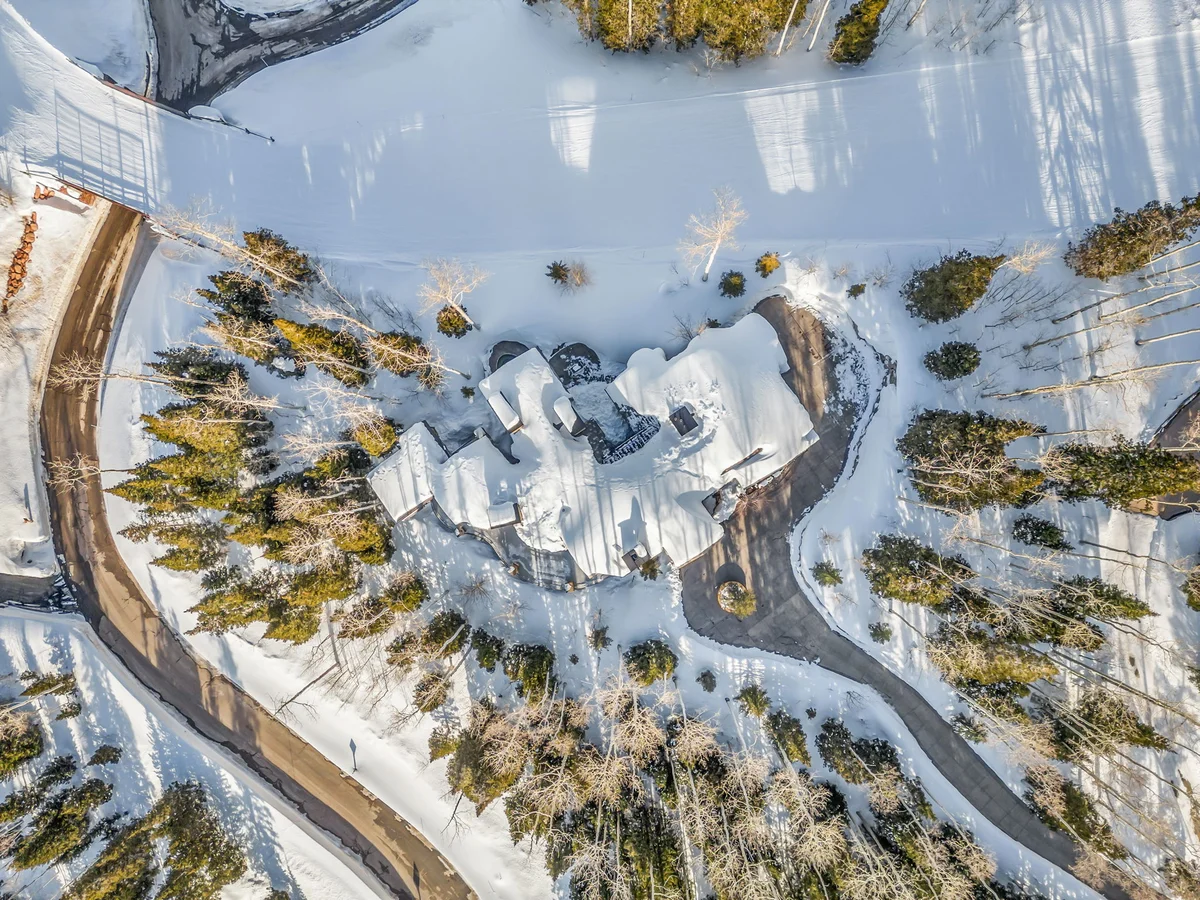 SnowMeadow #67