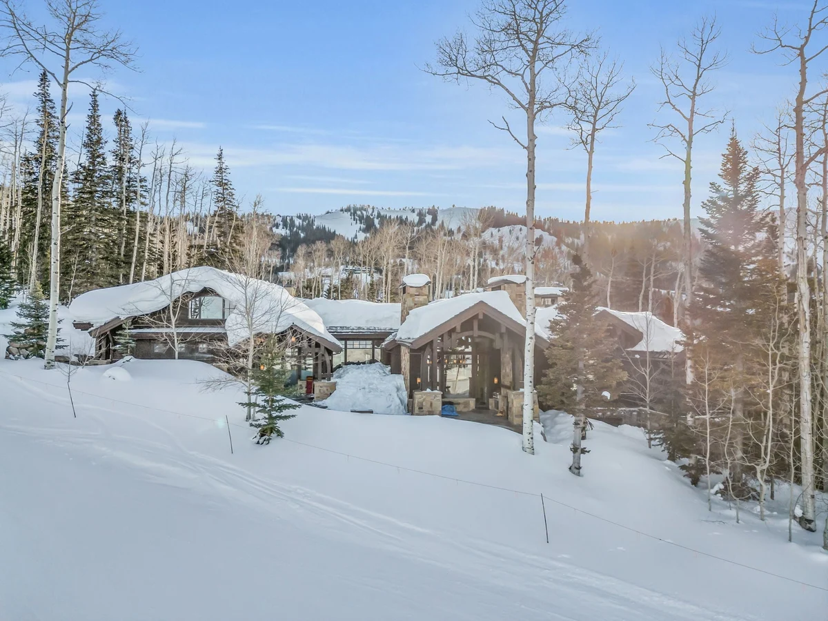 SnowMeadow #108