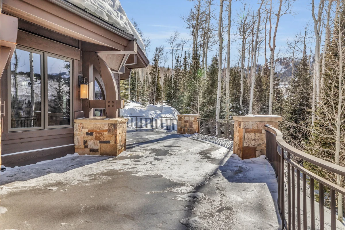 SnowMeadow #104