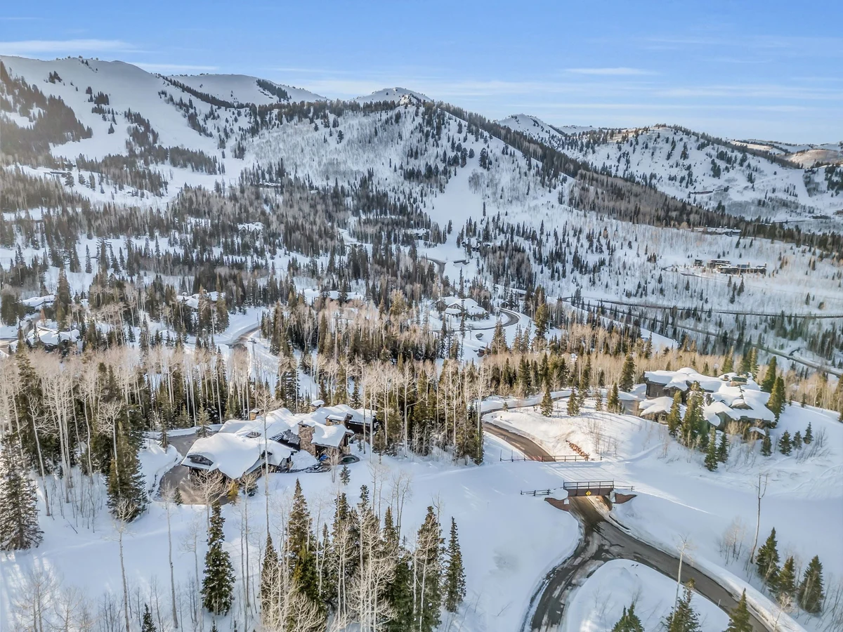 SnowMeadow #116