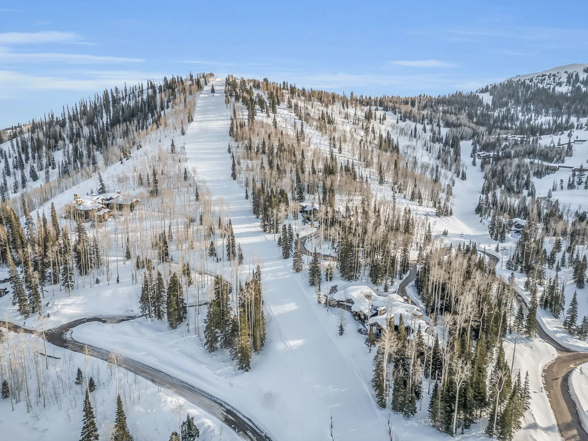 SnowMeadow #94