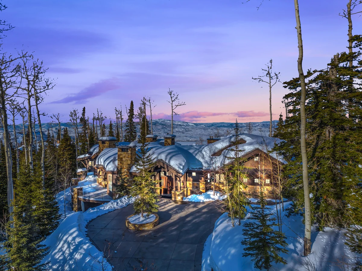 SnowMeadow #91