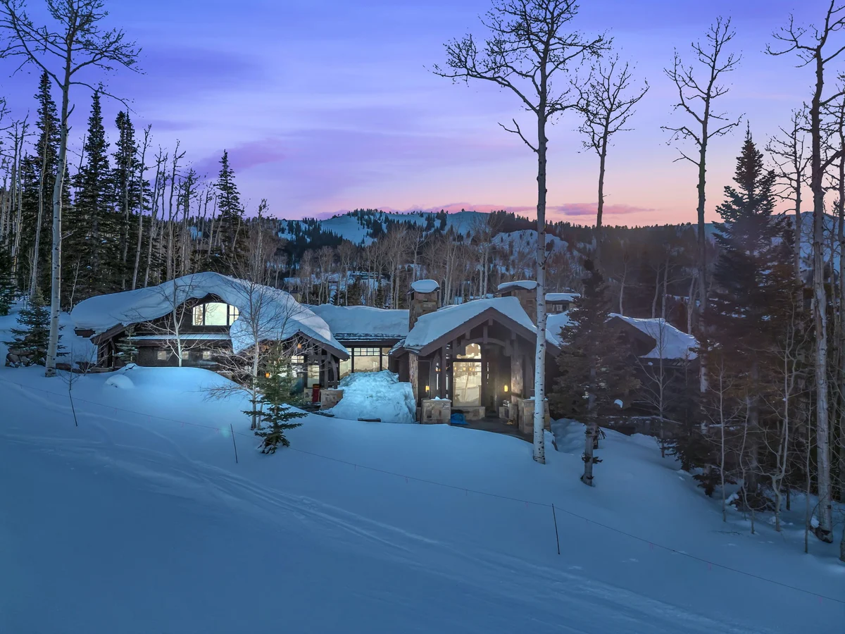 SnowMeadow #101
