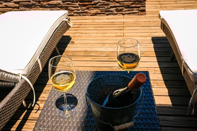 Wander Valle De Guadalupe #42