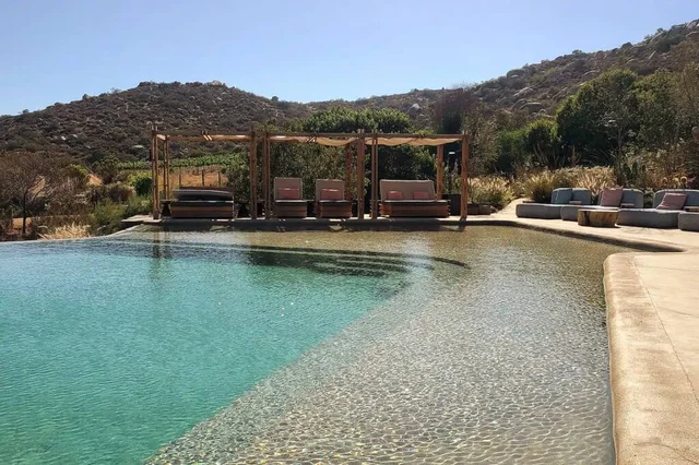 Wander Valle De Guadalupe #57