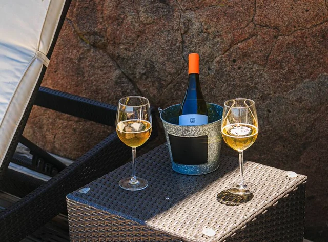 Wander Valle De Guadalupe #71