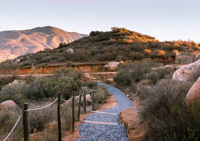 Wander Valle De Guadalupe #39