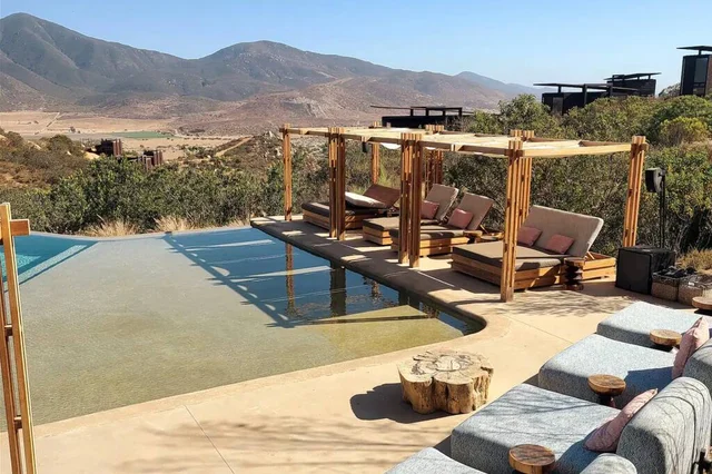 Wander Valle De Guadalupe #72