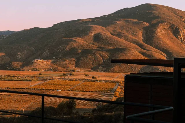 Wander Ensenada Panorama #55