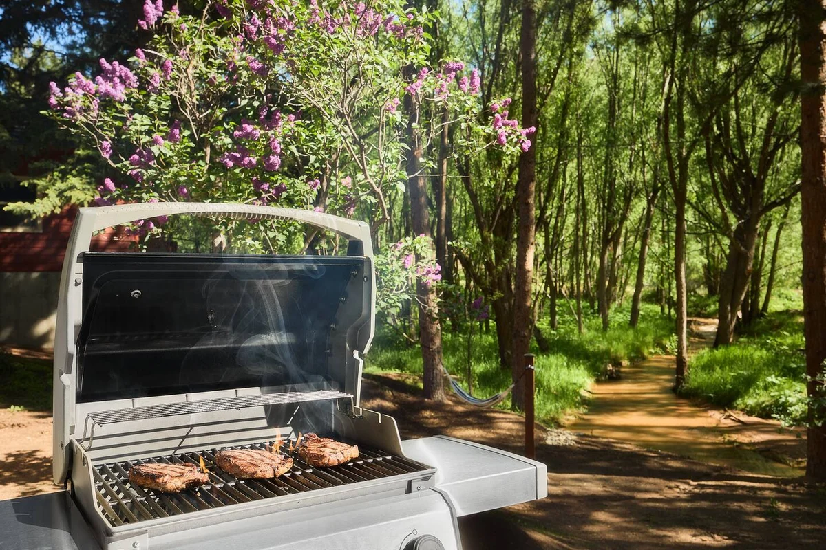Serene Riverside Cabin: Hot Tub, Patio, Fire Pit #72