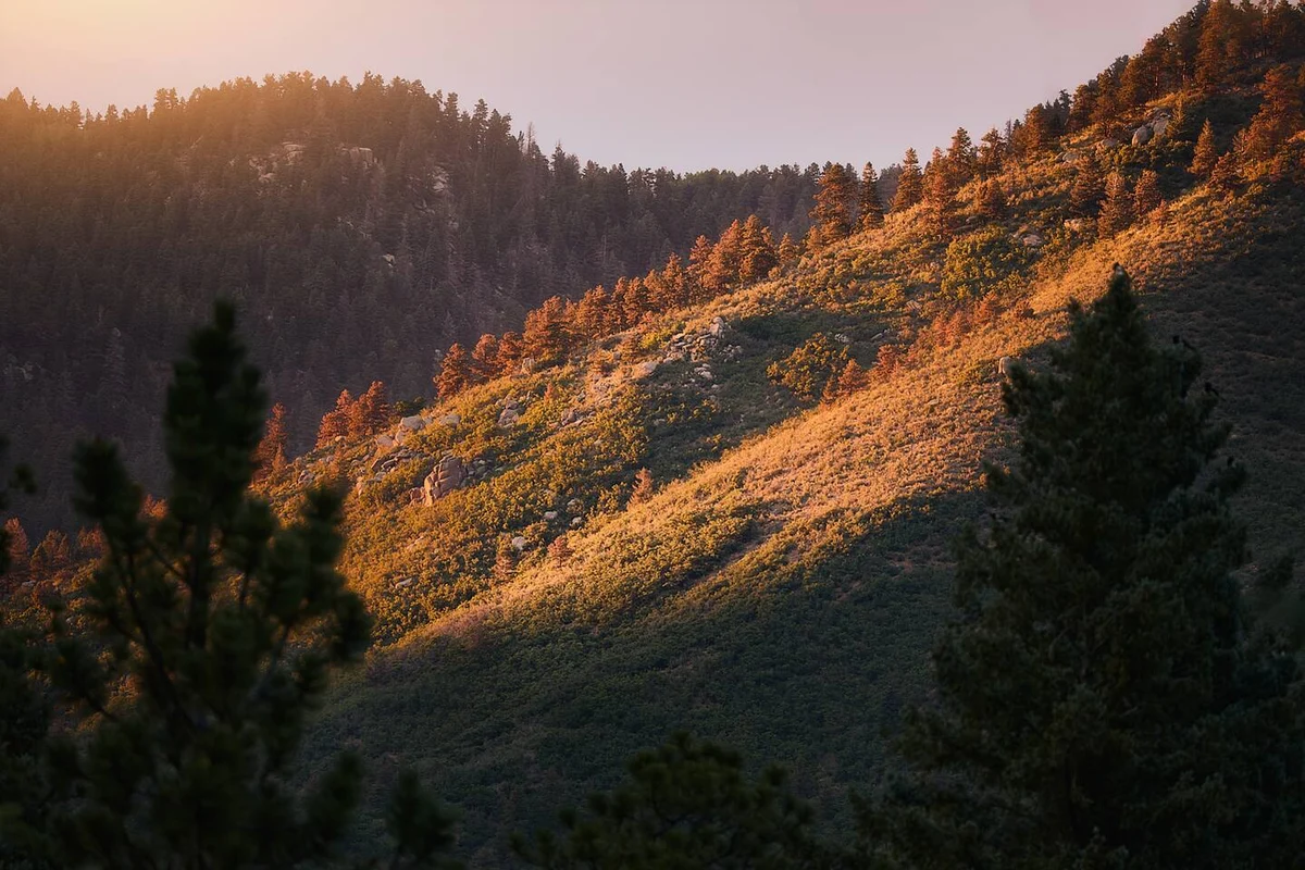 Rockies Ranch&Bungalow #89
