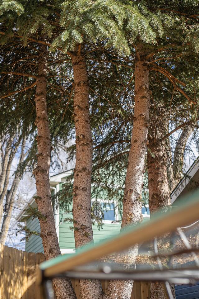 The Blue Spruce DT Luxe Cottage - Holiday Home #51