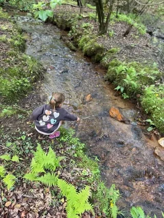 Creekside Cabin #62