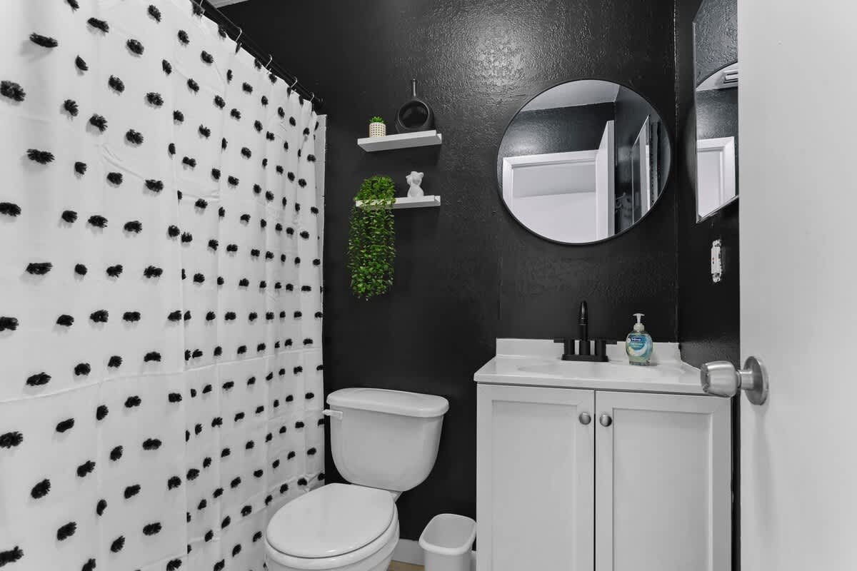 Zebra #10