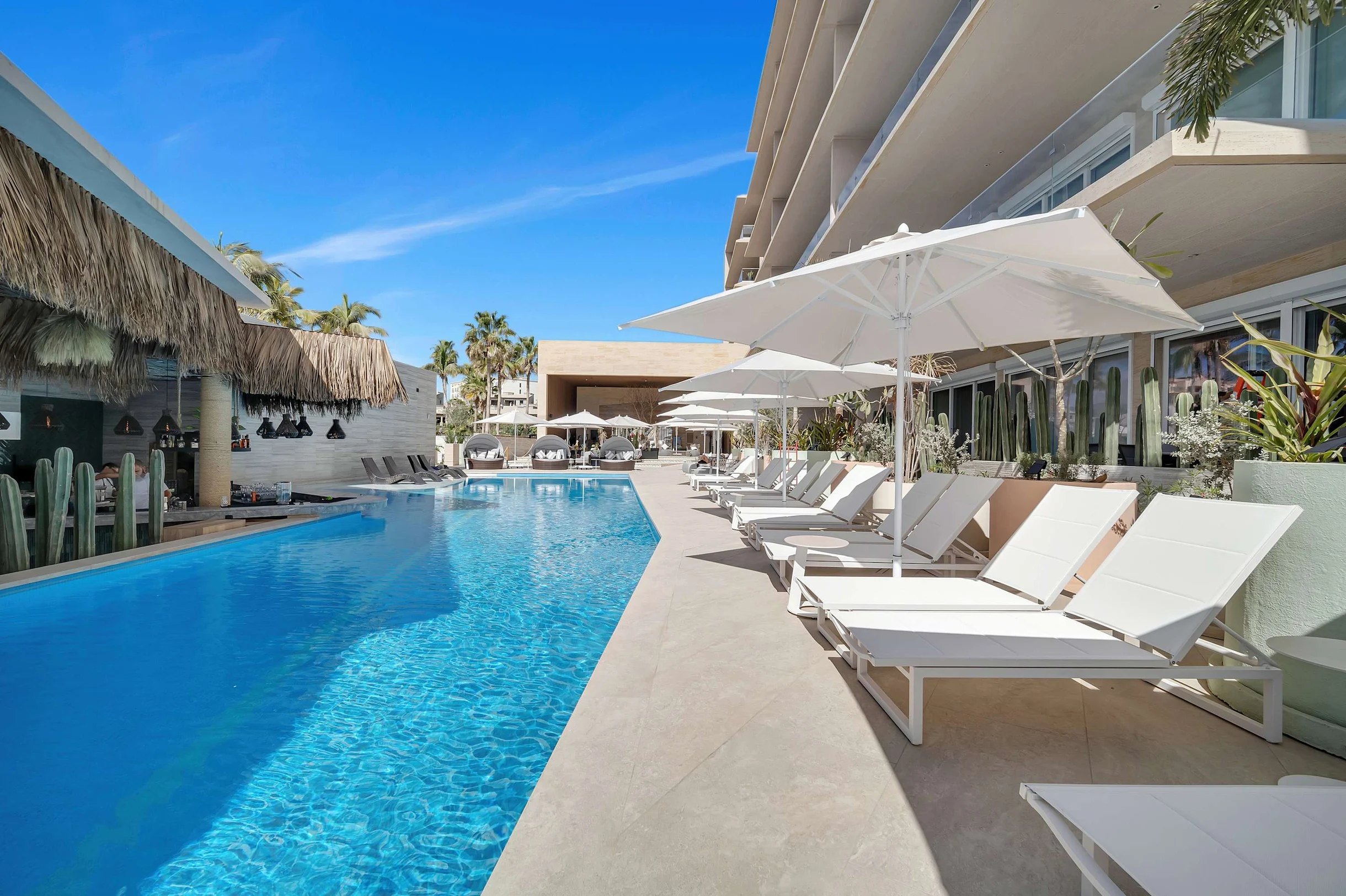 LF - 303 #13