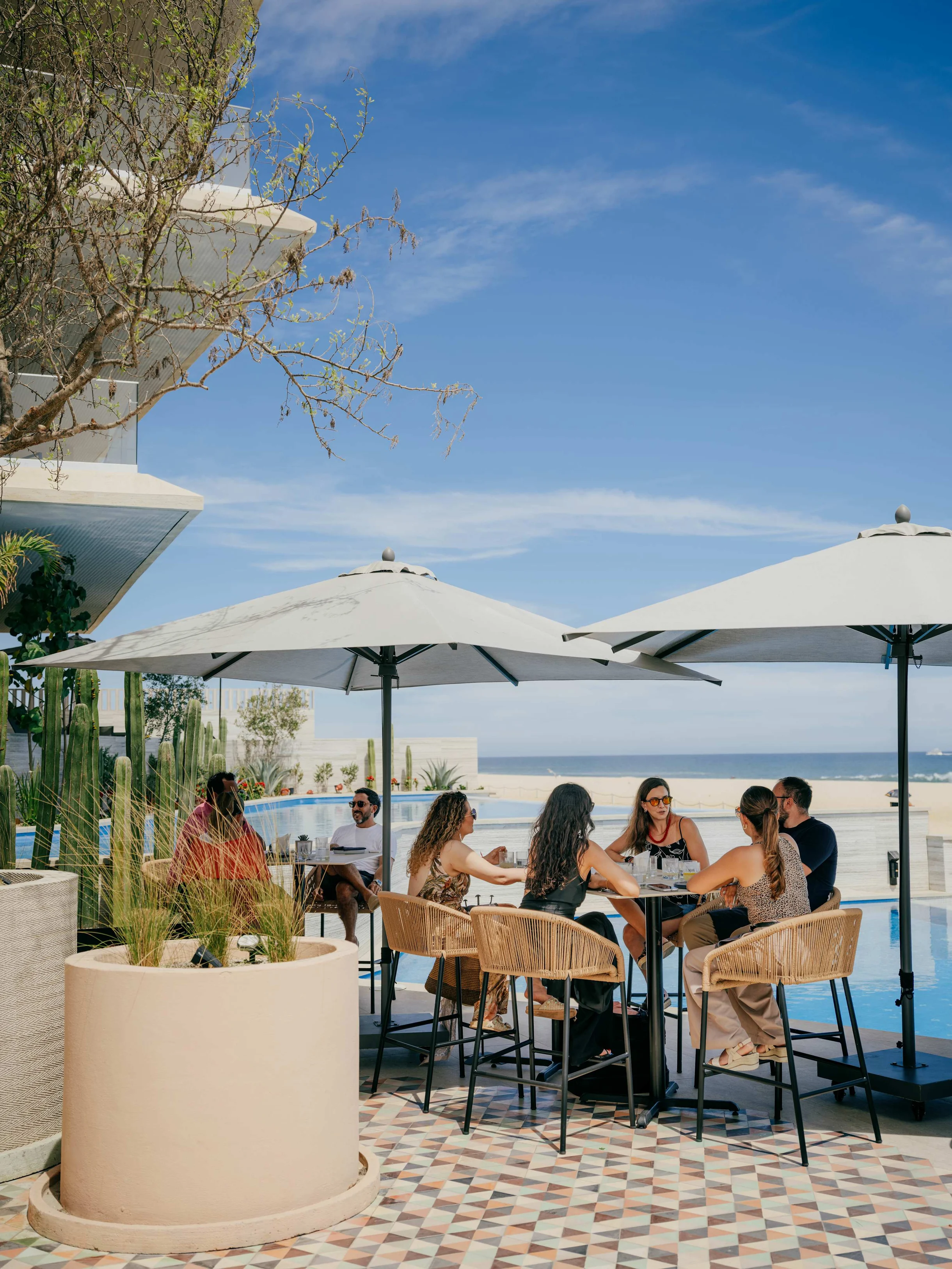 1 BRS DB - 404 #37