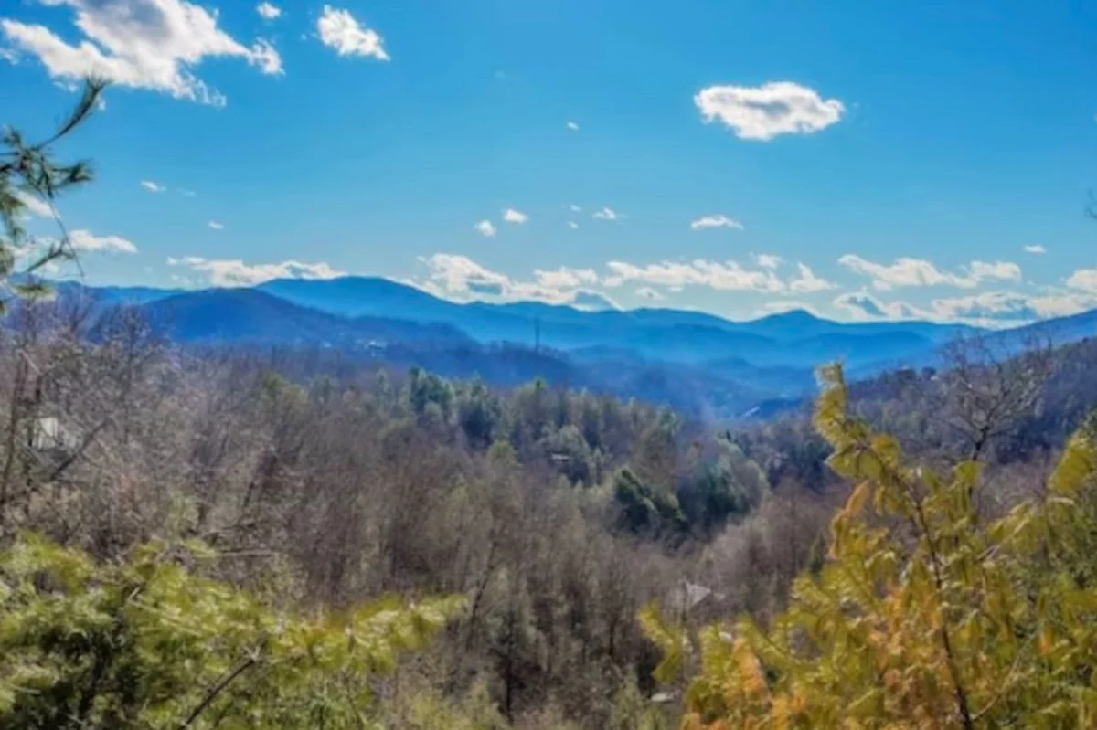 Big Buck Lodge  Smoky Mountain Views - Hot Tub - within 2.5 miles to downtown Gatlinburg. #60
