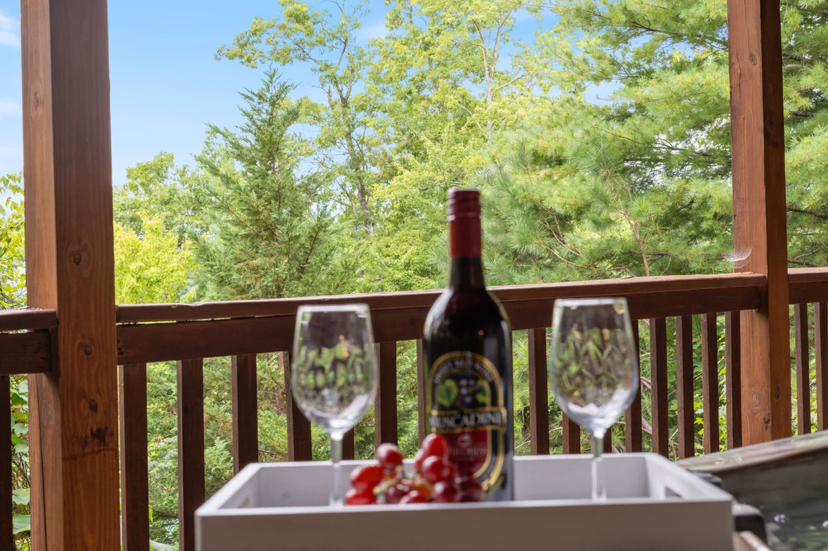 Big Buck Lodge  Smoky Mountain Views - Hot Tub - within 2.5 miles to downtown Gatlinburg. #37