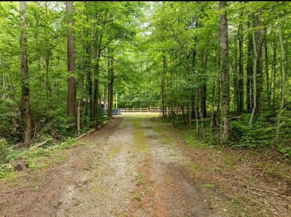The Lost Compass - Suite #2 - Relaxing & Cozy Cabin Suite Near Downtown Helen, Unicoi State Park, Anna Ruby Falls, Tubing, Restaurants, Hot Tub, Fire Pit, & BBQ Grill #11