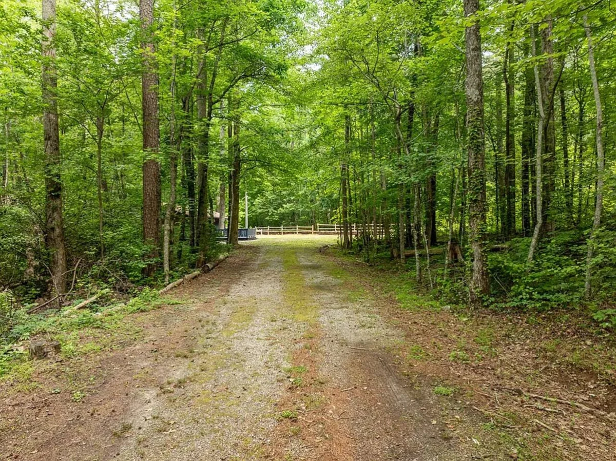 The Lost Compass - Suite #4 - Relaxing & Cozy Cabin Suite Near Downtown Helen, Unicoi State Park, Anna Ruby Falls, Tubing, Restaurants, Hot Tub, Fire Pit, & BBQ Grill #15