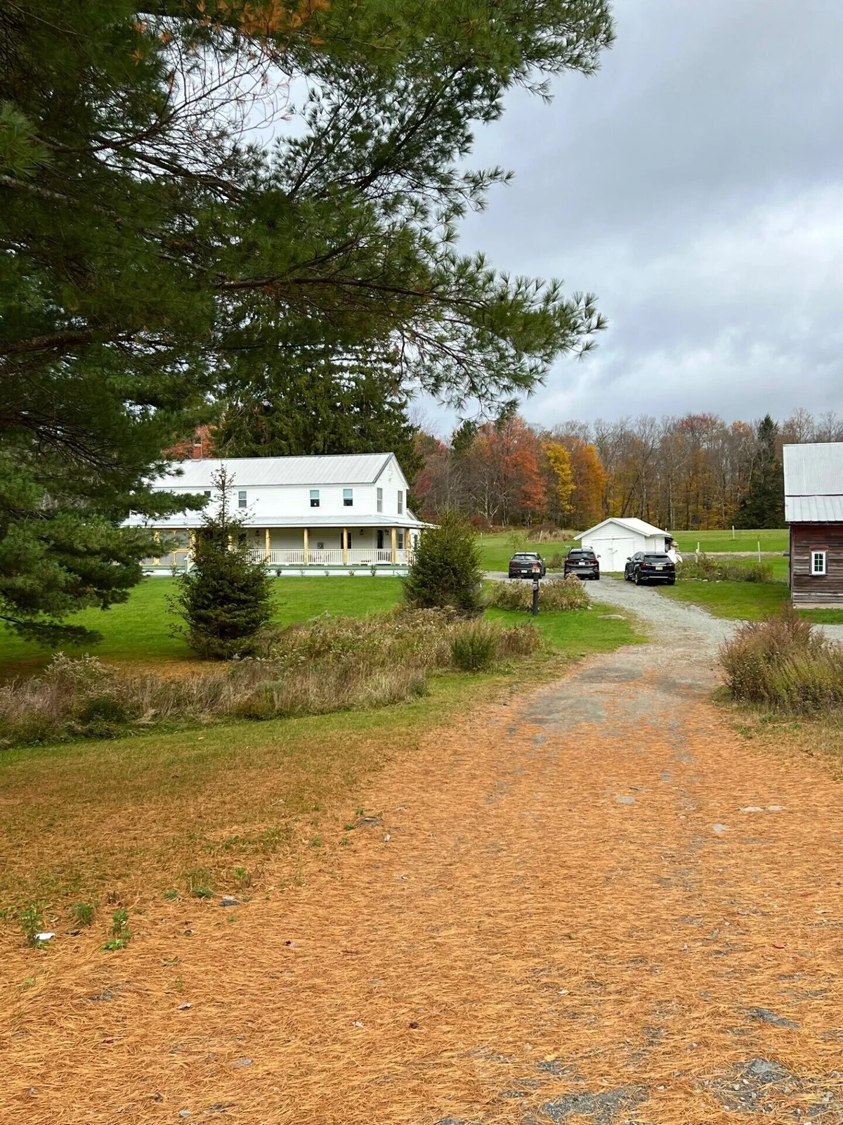 FRENCH WOODS FARMHOUSE | TimeOut NY's Pick | Hot tub | Pond | Dogs OK | NYC=2hr #84