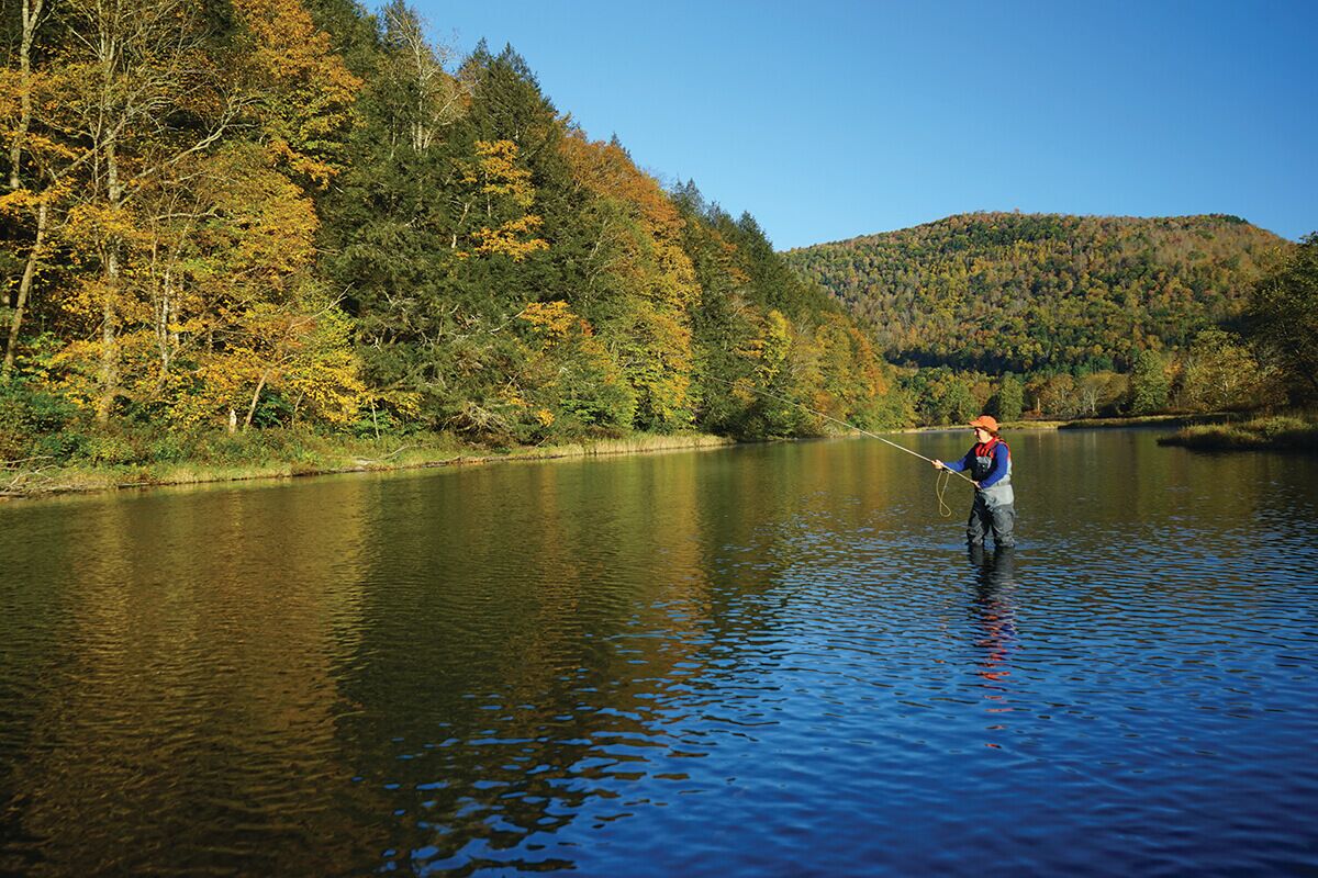 FRENCH WOODS FARMHOUSE | TimeOut NY's Pick | Hot tub | Pond | Dogs OK | NYC=2hr #58