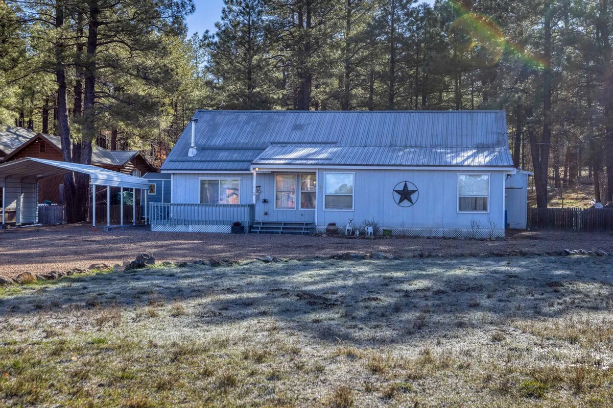 Home in Navajo County property photo 2