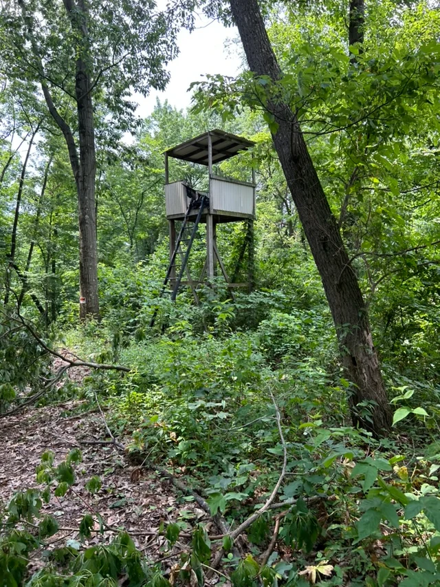 The Retreat at The Hideaway: 2 Cabins & 22 Guests! #52