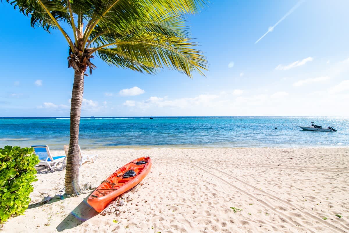 CaribbeanParadise 29 #29