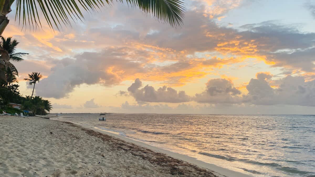 CaribbeanParadise 29 #34