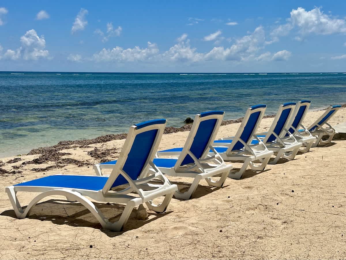 Cayman Paradise #1 #64