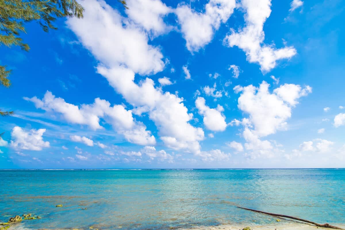 Cayman Paradise #1 #60
