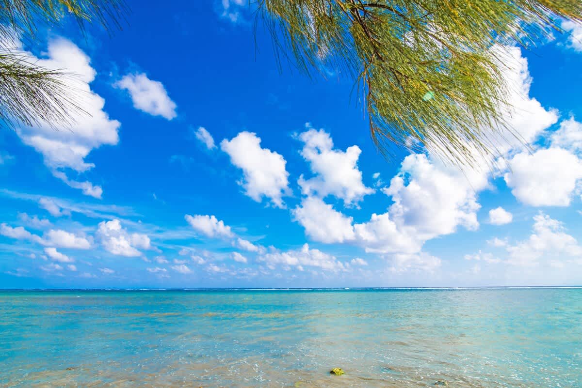 Cayman Paradise #1 #65