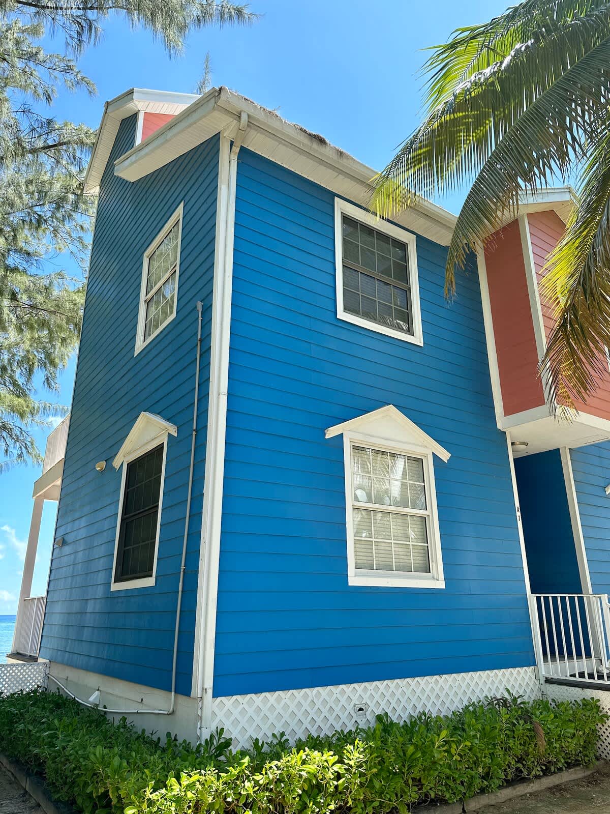 Cayman Paradise #1 #29