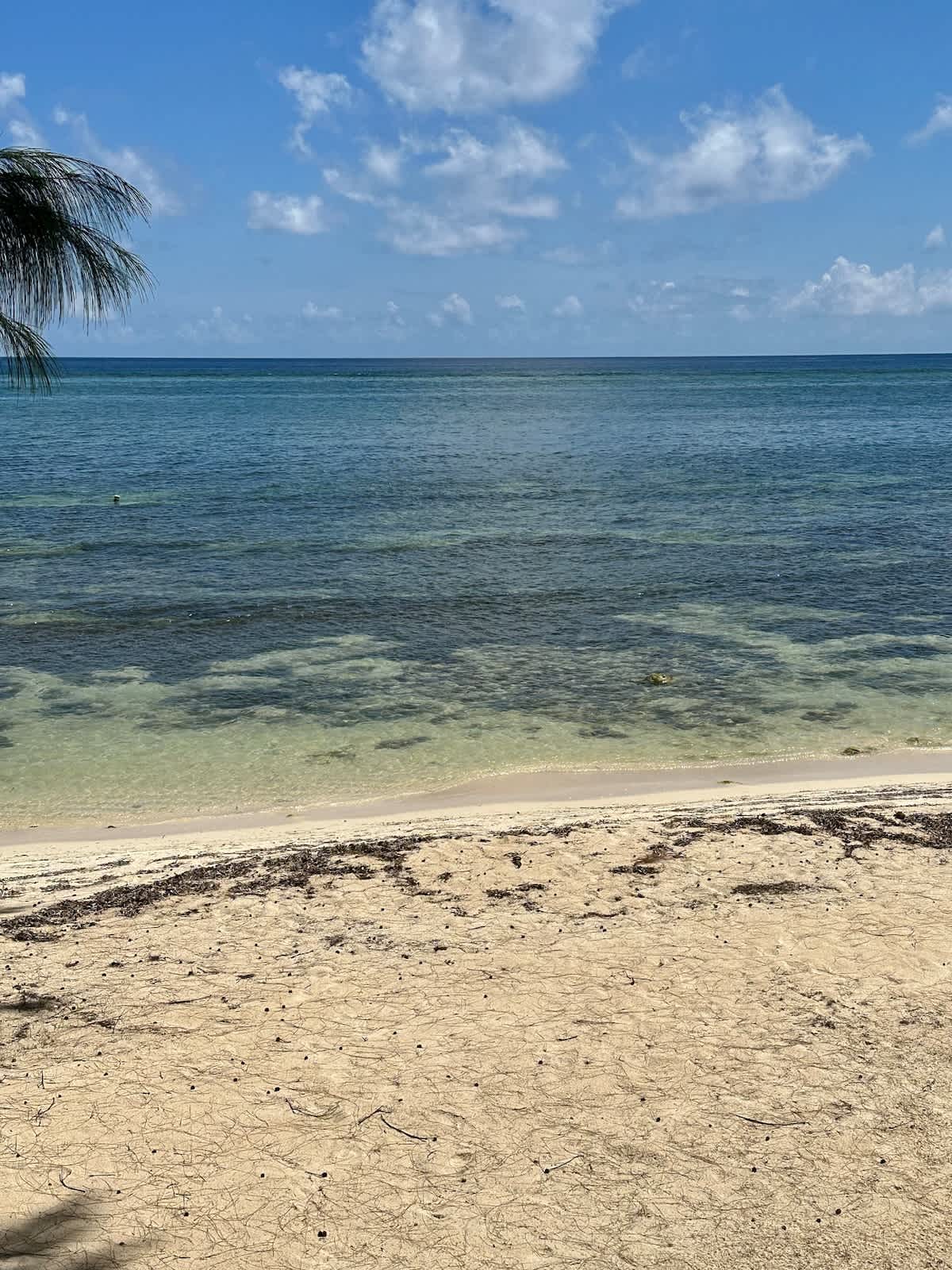 Cayman Paradise #1 #72