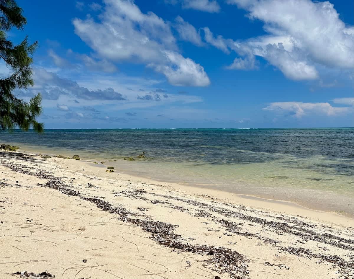 Cayman Paradise #1 #71