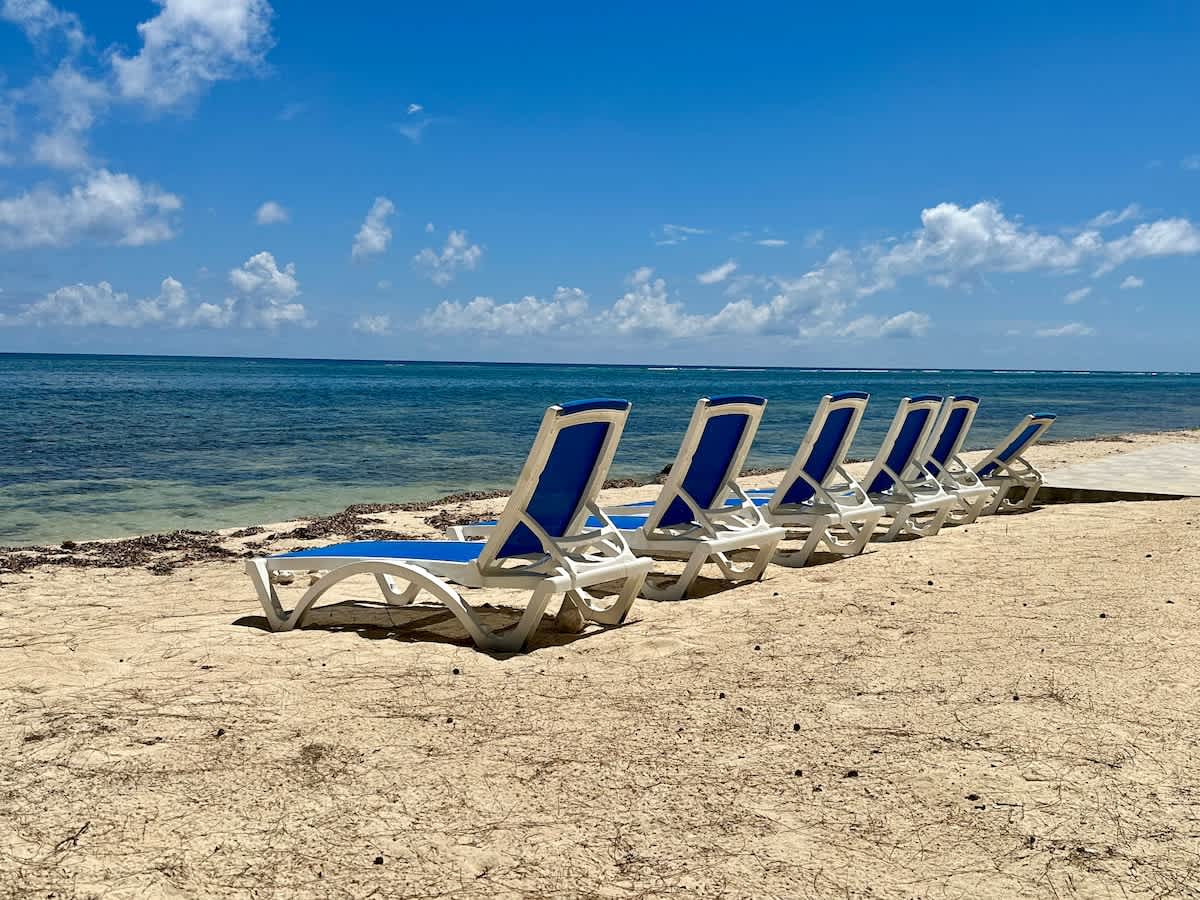 Cayman Paradise #1 #69