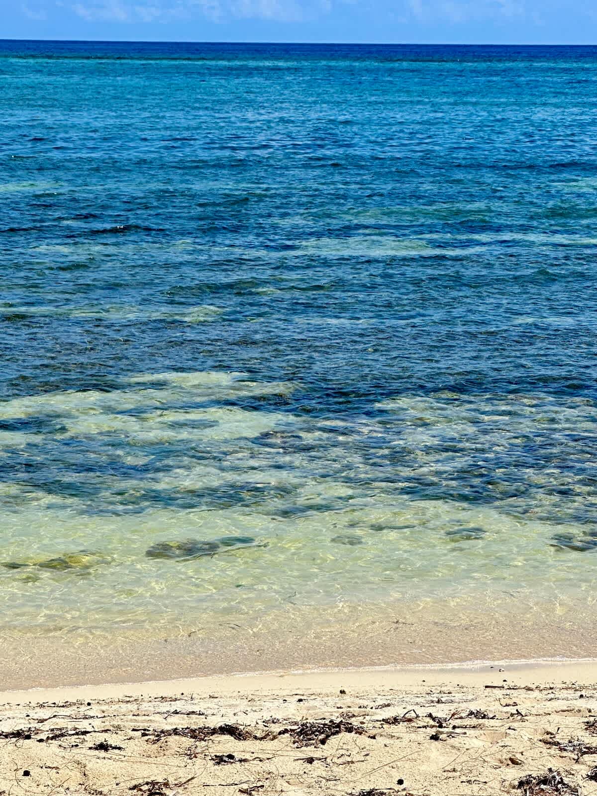 Cayman Paradise #1 #70