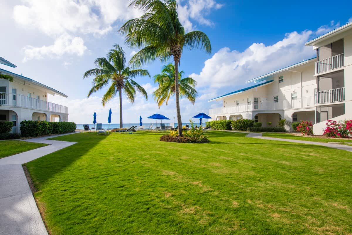 Cayman Reef #52 #18