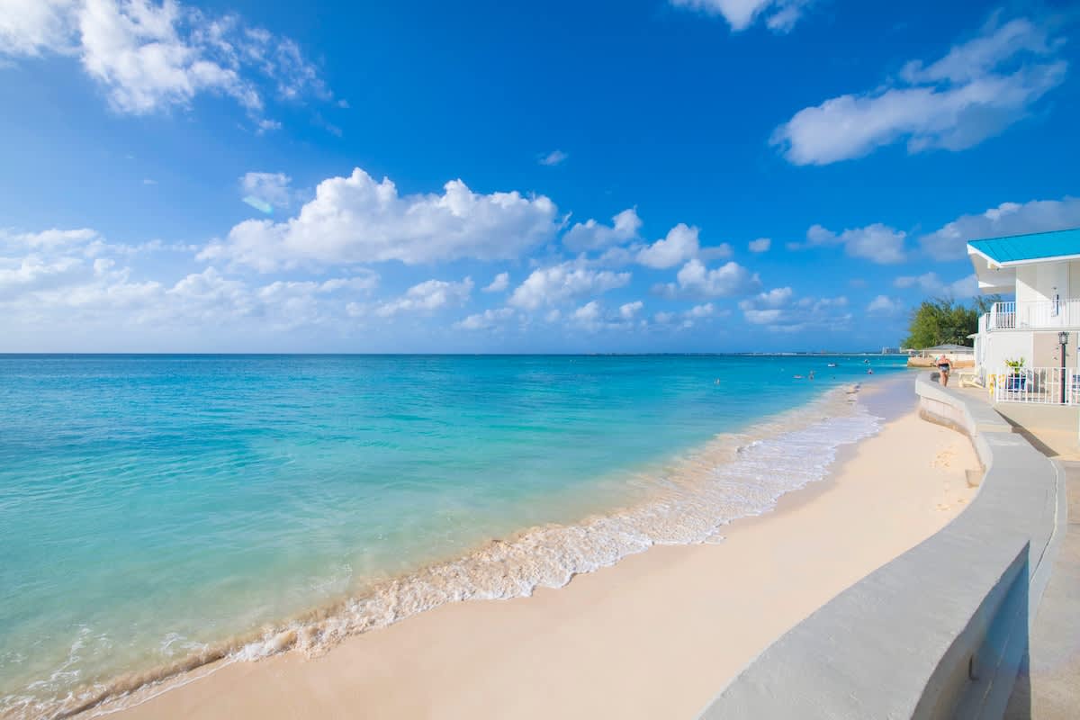 Cayman Reef #52 #20