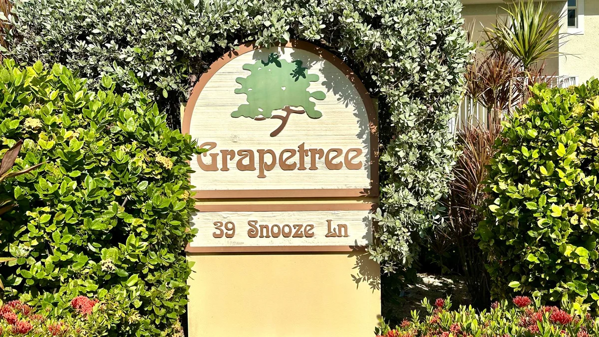 Grape Tree #10 #48
